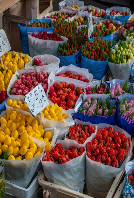 Arrangement of numerous bouquets of fresh tulips in vibrant colors, including yellow, pink, red, orange, and purple, displayed in white and blue paper wrapping. The bouquets are arranged in rows on a 